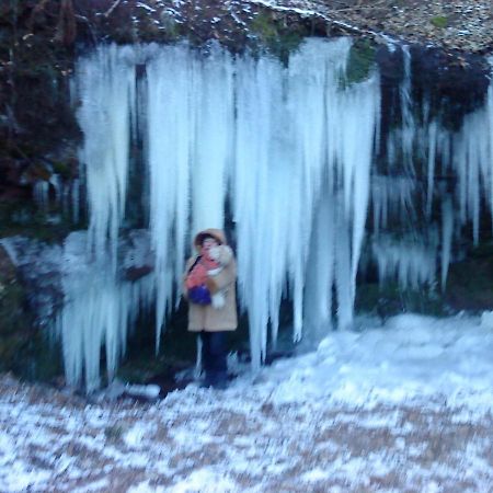 A L'Ombre De La Cascade Apartment Lemberg ภายนอก รูปภาพ